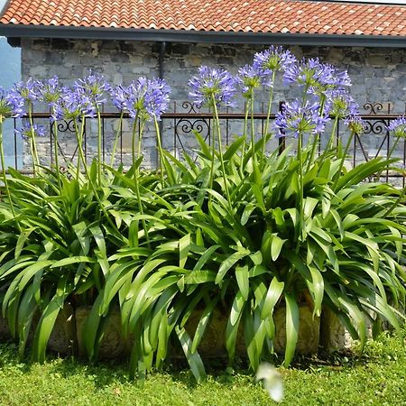 Casa Giardino Fiorito Leilighet San Siro  Eksteriør bilde