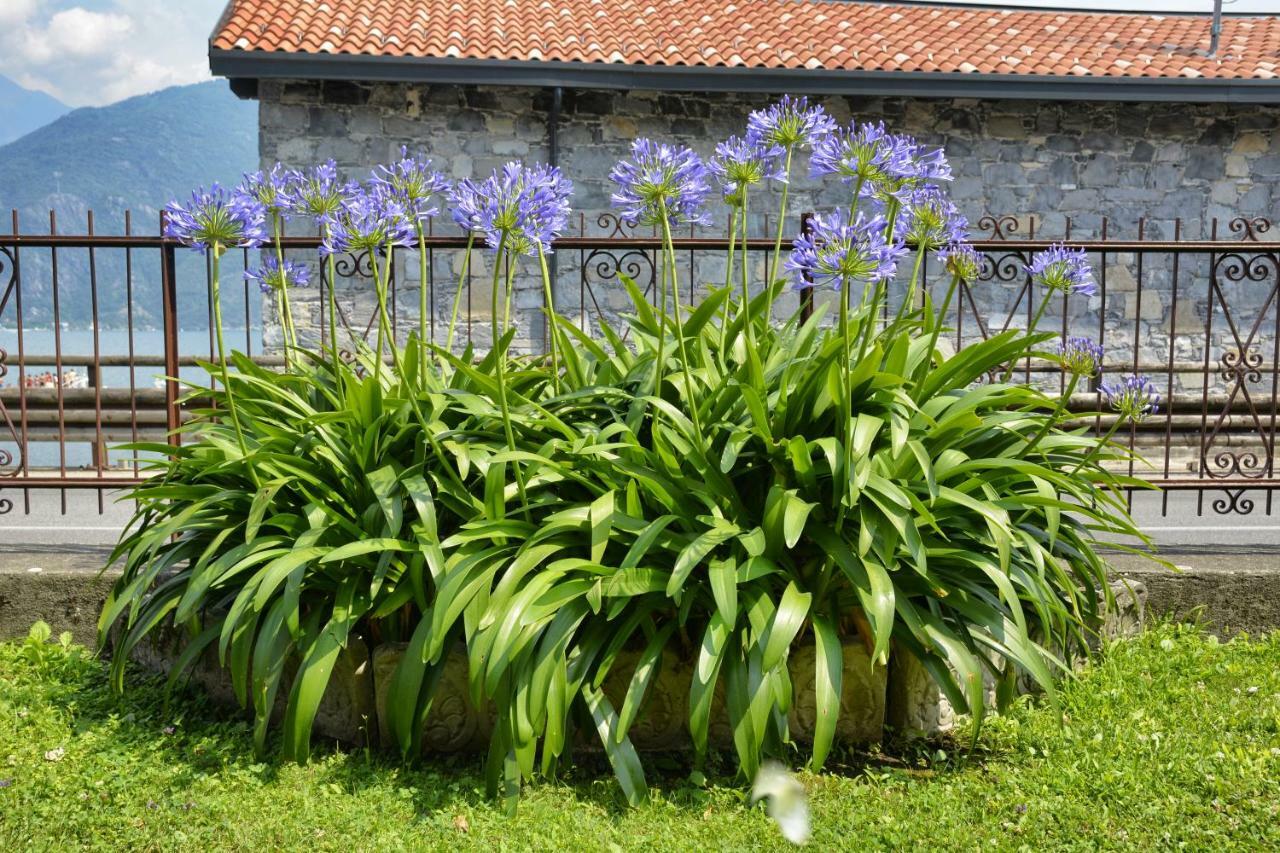 Casa Giardino Fiorito Leilighet San Siro  Eksteriør bilde