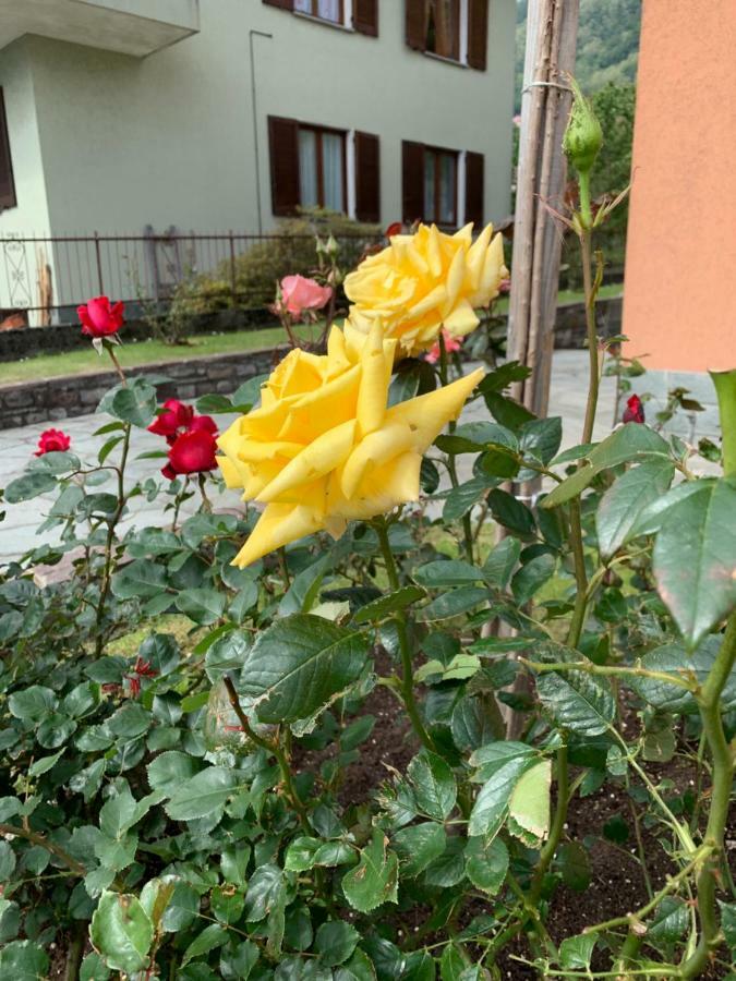 Casa Giardino Fiorito Leilighet San Siro  Eksteriør bilde